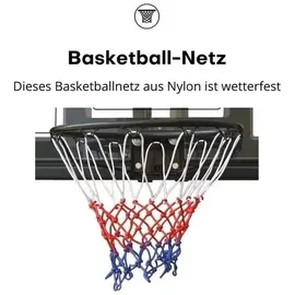 PEGASI Basketballbrett Classic Schwarz 110 x 75 cm