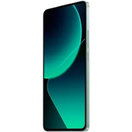 Xiaomi 13T Pro 16 GB RAM 1 TB meadow green