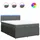 vidaXL Boxspringbett mit Matratze Dunkelgrau 140x200 cm Stoff