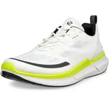 ECCO Biom 2.2 Herren Weiß 42