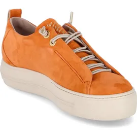 Paul Green 5017 orange 37,5
