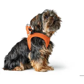 Hunter Geschirr Hilo XS-S orange