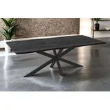 SAM Esstisch Josy 220x100 cm Holz-Optik Grau Spider-Gestell schwarz