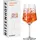 Ritzenhoff & Breker Aperitifglas Sommerrausch 0,544 l