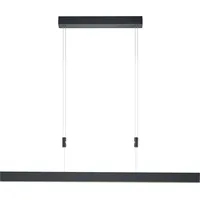 HELL höllisch gutes Licht LED Pendelleuchte DELTA, LED fest integriert, Warmweiß, dimmbar über Wanddimmer, Höhenverstellbar schwarz