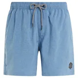 Protest Badeshorts Davey River Blue L