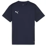 Puma teamGOAL Trikot Kids