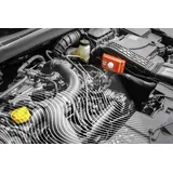 LAS Marderabwehrgerät Hochspannung + Ultraschall