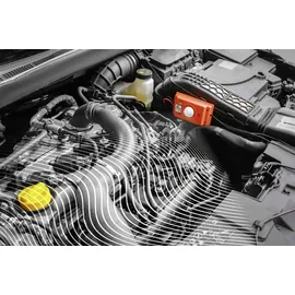 LAS Marderabwehrgerät Hochspannung + Ultraschall