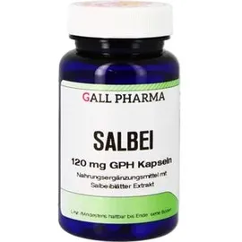 Hecht Pharma Salbei 120 mg GPH Kapseln