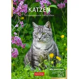 Harenberg Katzen Wochenplaner 2027 Weiß