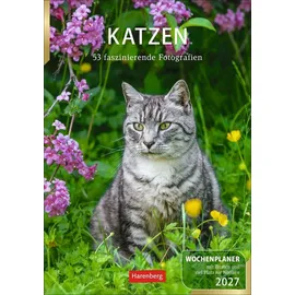 Harenberg Katzen Wochenplaner 2027 Weiß