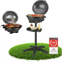 First Austria TZS First Austria 2in1 2400 W schwarz