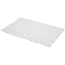 BettwarenShop BettwarenShop, Daunen Sommerdecke Premium leicht, Füllung: 90% Daunen, 10% Federn 135/140x200 cm