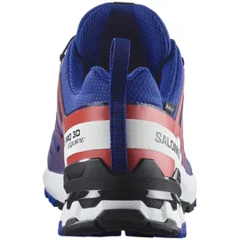 Salomon XA Pro 3D V9 GTX Herren Surf The Web/Fiery Red/White 42