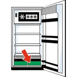 Wenko Kühlschrank Frischhaltematte Grün