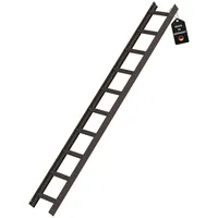 Proregal Dachleiter 10 Sprossen