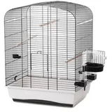 Ollesch Vogelkäfig Vogelkäfig Vogelheim Elena schwarz/weiß 54x39x71cm mit Zubehör