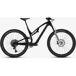 Mountainbike 29 Zoll Carbon Feel 900 S All Mountain Team Edition S