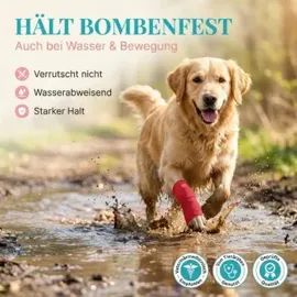 HUND IST KÖNIG Verband selbstklebend, Selbstklebende Bandage für Mensch & Tier 12 St