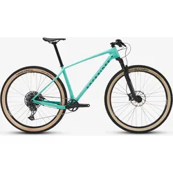 Mountainbike Cross Country 29 Zoll Carbonrahmen Reba Race 740 grün M