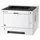 Kyocera ECOSYS P2235dw/Plus S/W-Laserdrucker mit 3 Jahren Full Service Vor-Ort
