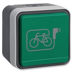 Berker W.1 - Steckdose SCHUKO mit Symbol E-Bike (grau/lichtgrau matt)