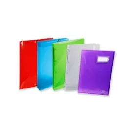 Exacompta 54342E Ringhefter Crystal DIN A4 aus PP mit 2 Ringen 40 mm breit kristall ideal für Schule und Büro Ringhefter Ringordner Ringbuchordner