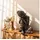 wall-art K&L Wall Art Große Buddhafigur Kunststein Deko Feng Shui Steinfigur dekorative Budhastatue Zen Dekofigur (Schwarz, Silber, 40 cm hoch)