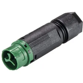 Wieland 46.032.4555.7 Rundstecker Stecker, gerade Serie (Rundsteckverbinder): RST® MINI Gesamtpolzahl: 2 + PE 1 St.
