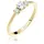 ELLI PREMIUM Elli Ring gold | Weiß 56