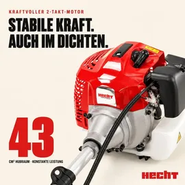 Hecht 142 BTS
