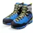 Gentian/Dark Titanium 42