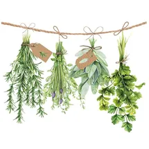 Ambiente Home Serviette "Frische Kräuter" (20 Stück