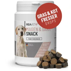 Magen & Darm Snack für Hunde 170g - Getreidefrei & Natürlich