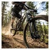 RockShox Federgabel Domain Gold Isolator RC3 Schwarz