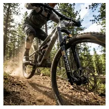 RockShox Federgabel Domain Gold Isolator RC3 Schwarz