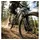 RockShox Federgabel Domain Gold Isolator RC3 Schwarz
