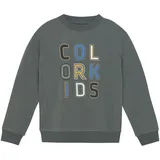 Color Kids Sweater Green 164