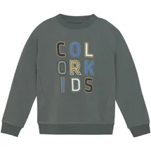 Color Kids Sweater Green 164