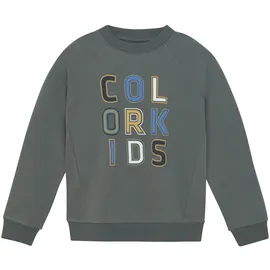Color Kids Sweater Green 164