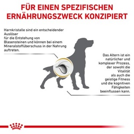 Royal Canin Urinary S/O Ageing 7+ 8 kg