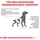 Royal Canin Urinary S/O Ageing 7+ 8 kg