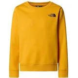 The North Face Kinder Box Nse Regular Crew Sweatshirt, Summit Gold, 6 Jahre