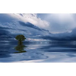 Fototapete PAPERMOON "MEER WOLKEN-BAUM BEACH STRAND PANORAMA HIMMEL WELLEN", bunt, B:4,50m L:2,80m, Vlies, Tapeten