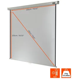 Celexon Rollo Professional 240x240 1:1