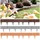 Prosperplast Rasenkante 780 x 19 cm 1 Stück Braun