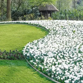 Woltu Flexible Rasenkante Kunststoff mit 60 Erdanker, Garten Beeteinfassung Länge 20 m, Höhe 5 cm, Rasenbegrenzung Wurzelsperre System, Grau