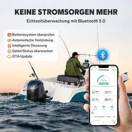 litime 12V 165Ah Dual-Purpose LiFePO4-Batterie mit Bluetooth 2,00 kWh