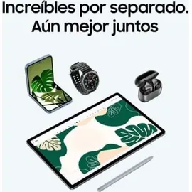 Samsung Galaxy Tab S10+ 12,4" 256 GB Wi-Fi + 5G Moonstone Gray